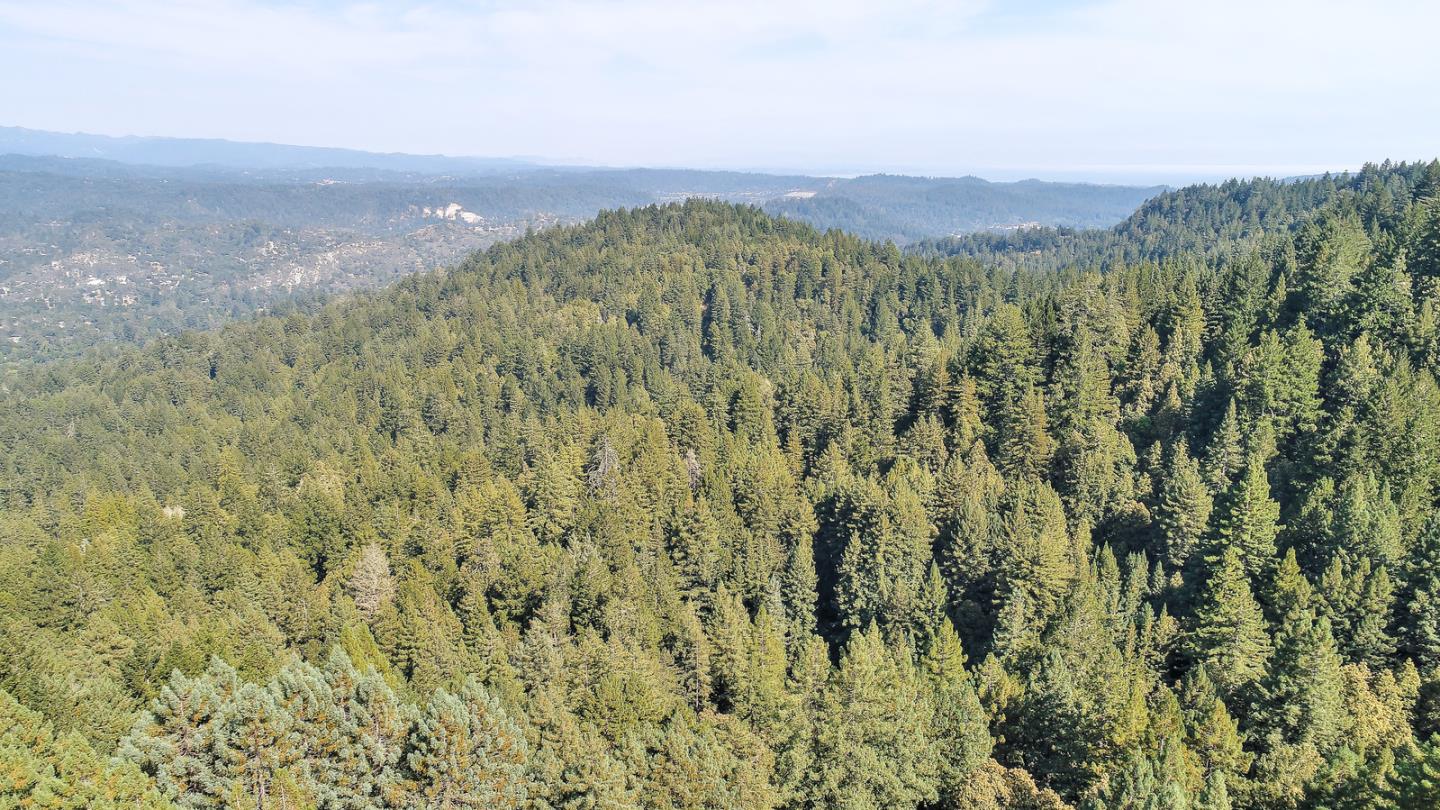 800 Waldeberg Road Ben Lomond, CA 95005 - Photo 46 of 77 Gallery Image 46