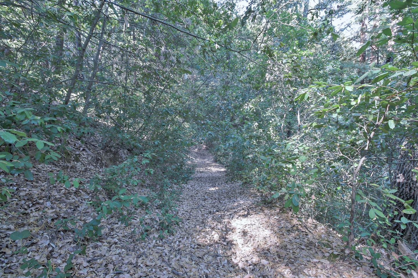 800 Waldeberg Road Ben Lomond, CA 95005 - Photo 53 of 77 Gallery Image 53