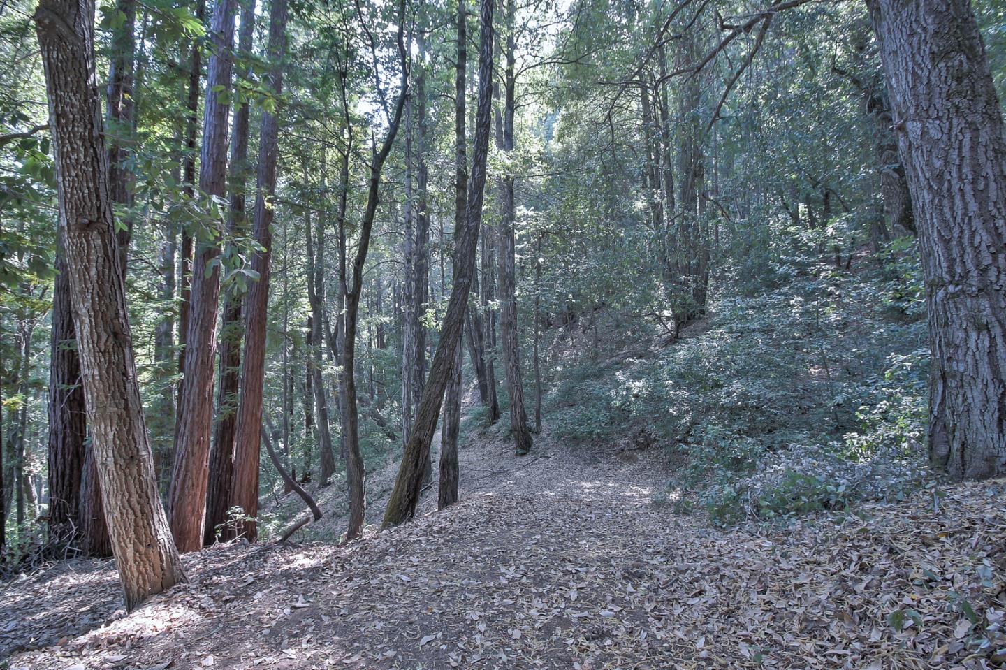 800 Waldeberg Road Ben Lomond, CA 95005 - Photo 54 of 77 Gallery Image 54