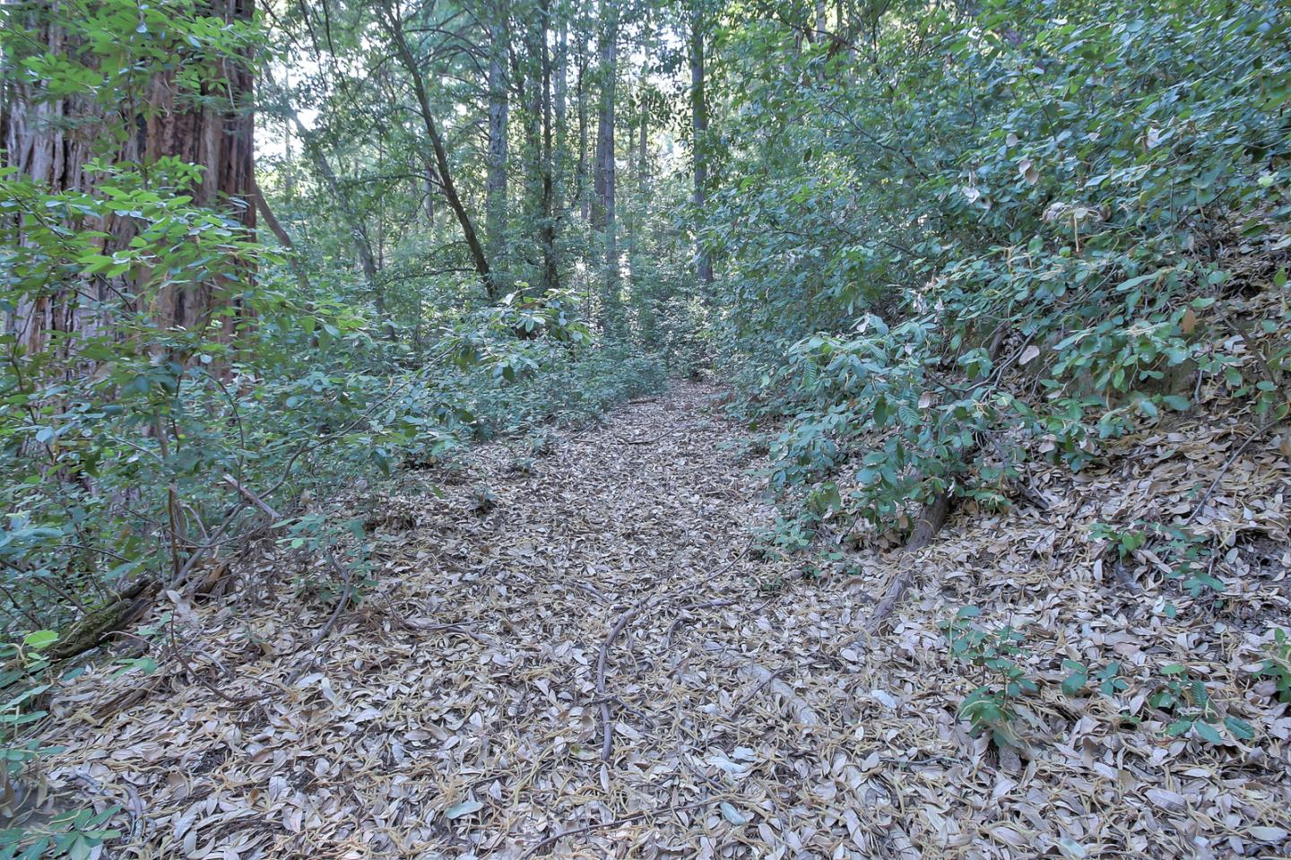 800 Waldeberg Road Ben Lomond, CA 95005 - Photo 55 of 77 Gallery Image 55