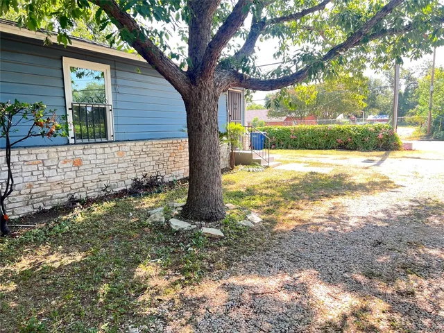 a view of a yard with plants and a large tree