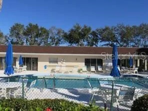 a backyard of a house with potted plants and palm tree