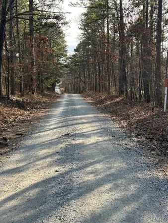 $105,000 | 11293 Hartville Road, Licking, MO 65542