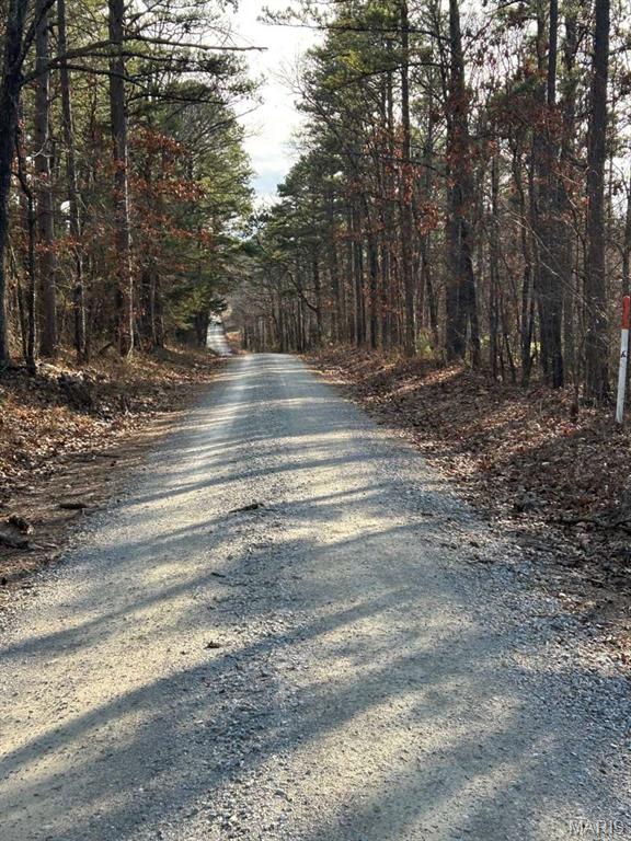 11293 Hartville Road Licking, MO 65542 - Photo 4 of 5