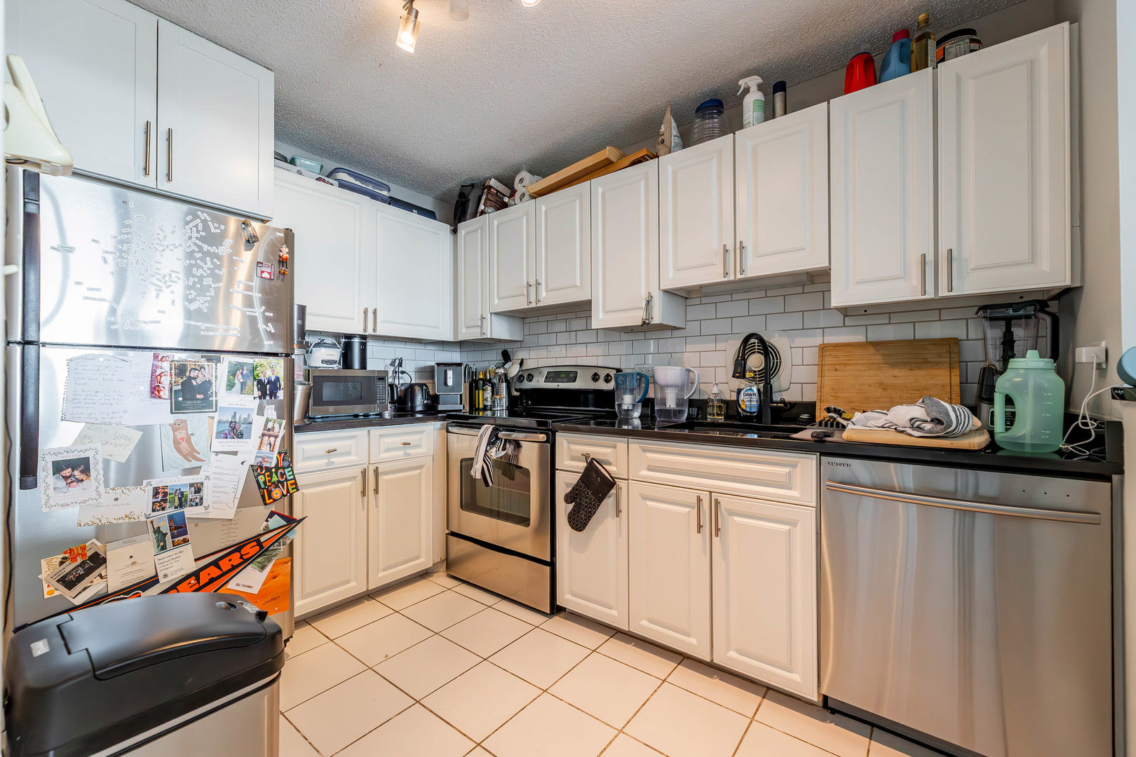 111 West Maple Street, Unit 1611 Chicago, IL 60610 - Photo 6 of 17