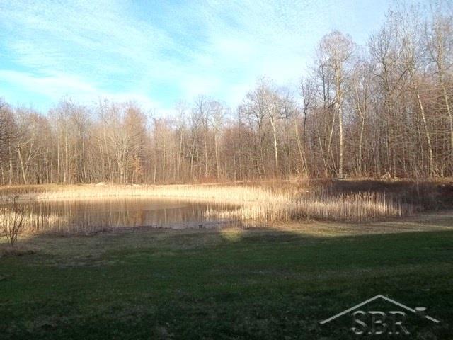 14787 South Merrill Road Elsie, MI 48831 - Photo 6 of 20 31239644-5.JPG