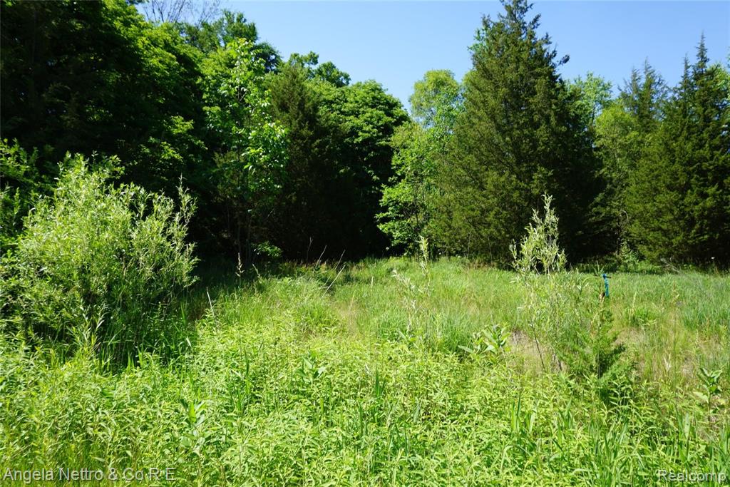 Vacant Harris Road Belleville, MI 48111 - Photo 14 of 15