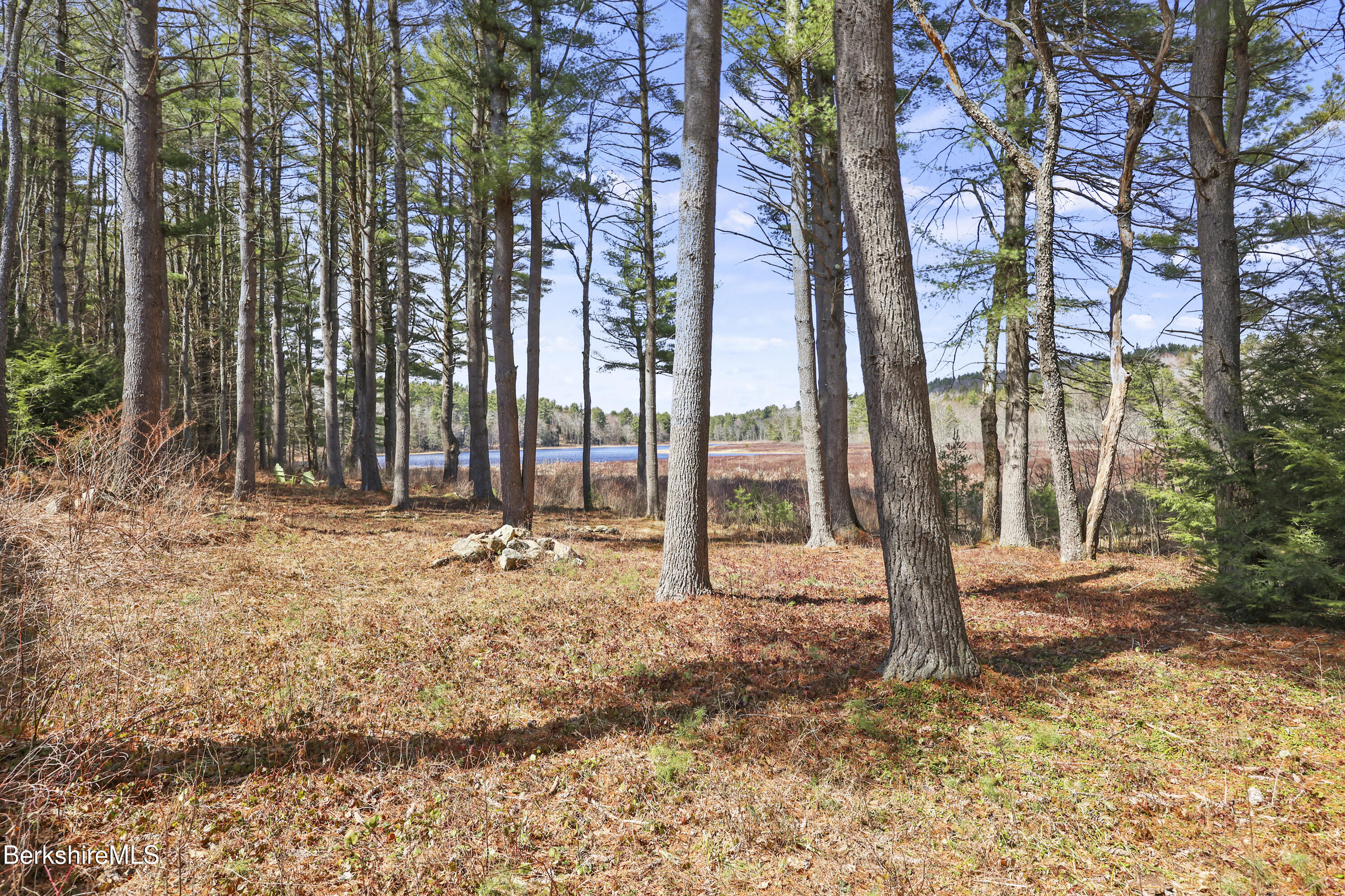 633 East Otis Road Otis, MA 01253 - Photo 61 of 64 285 Back Yard