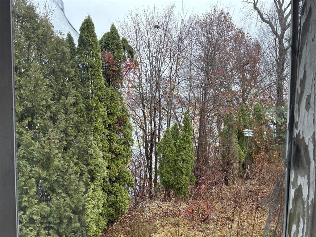 351 County Road Barrington, RI 02806 - Photo 19 of 42 a view of a forest with trees in front of it