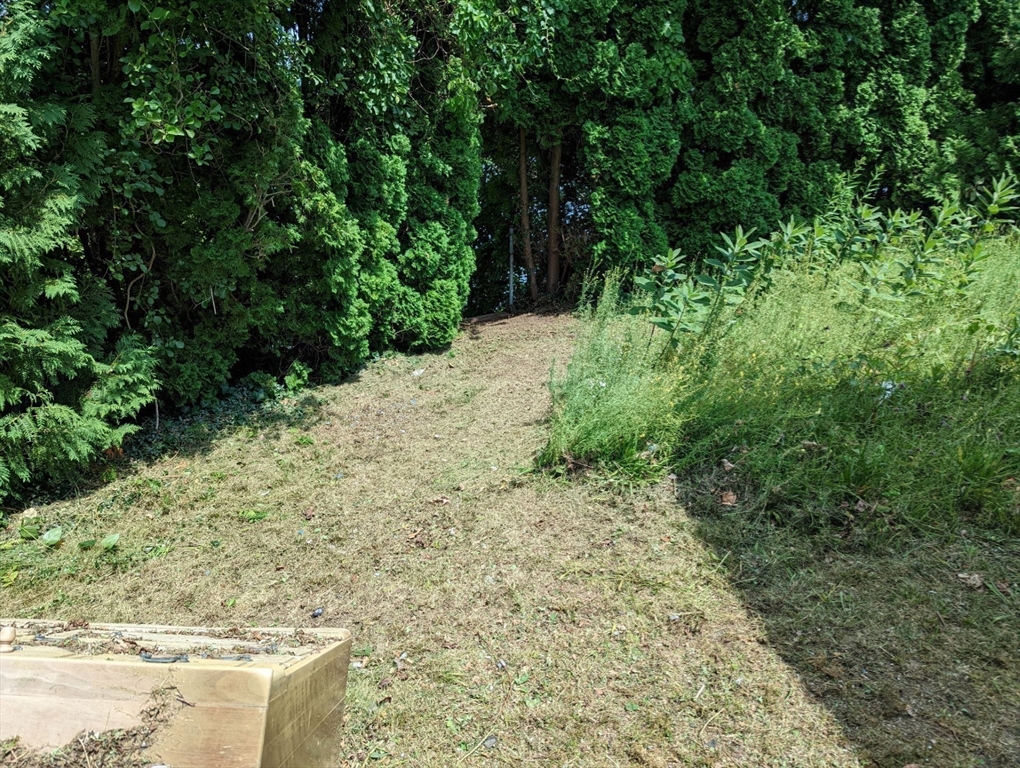 351 County Road Barrington, RI 02806 - Photo 20 of 42 a view of a yard with plants and large trees