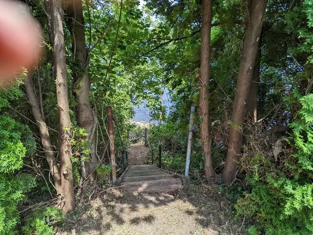 a backyard of a house with lots of green space