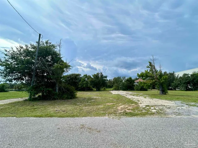 a view of a field with an trees