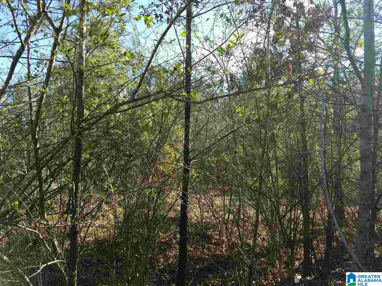 0 Cove Access Road, Unit 7 ACRES Talladega, AL 35160 - Photo 16 of 19