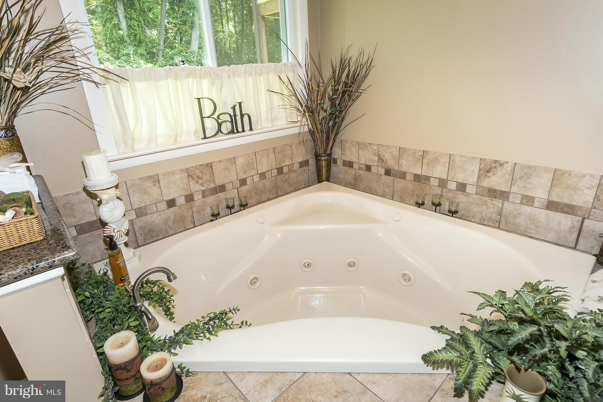 8438 Dogwood Road Baltimore, MD 21244 - Photo 25 of 30 Bath (Master)