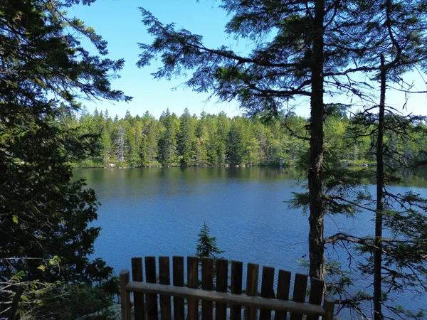 $189,900 | 41 Sportsmen's Lodge Road, Machias, ME 04654
