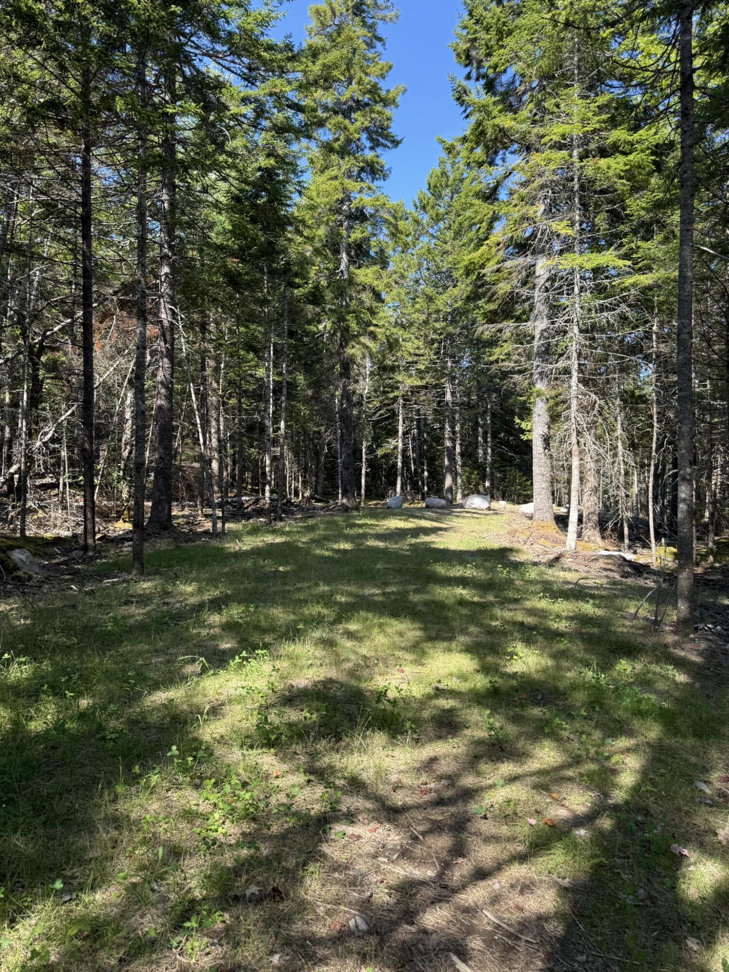 41 Sportsmen's Lodge Road Machias, ME 04654 - Photo 29 of 46 IMG_5590