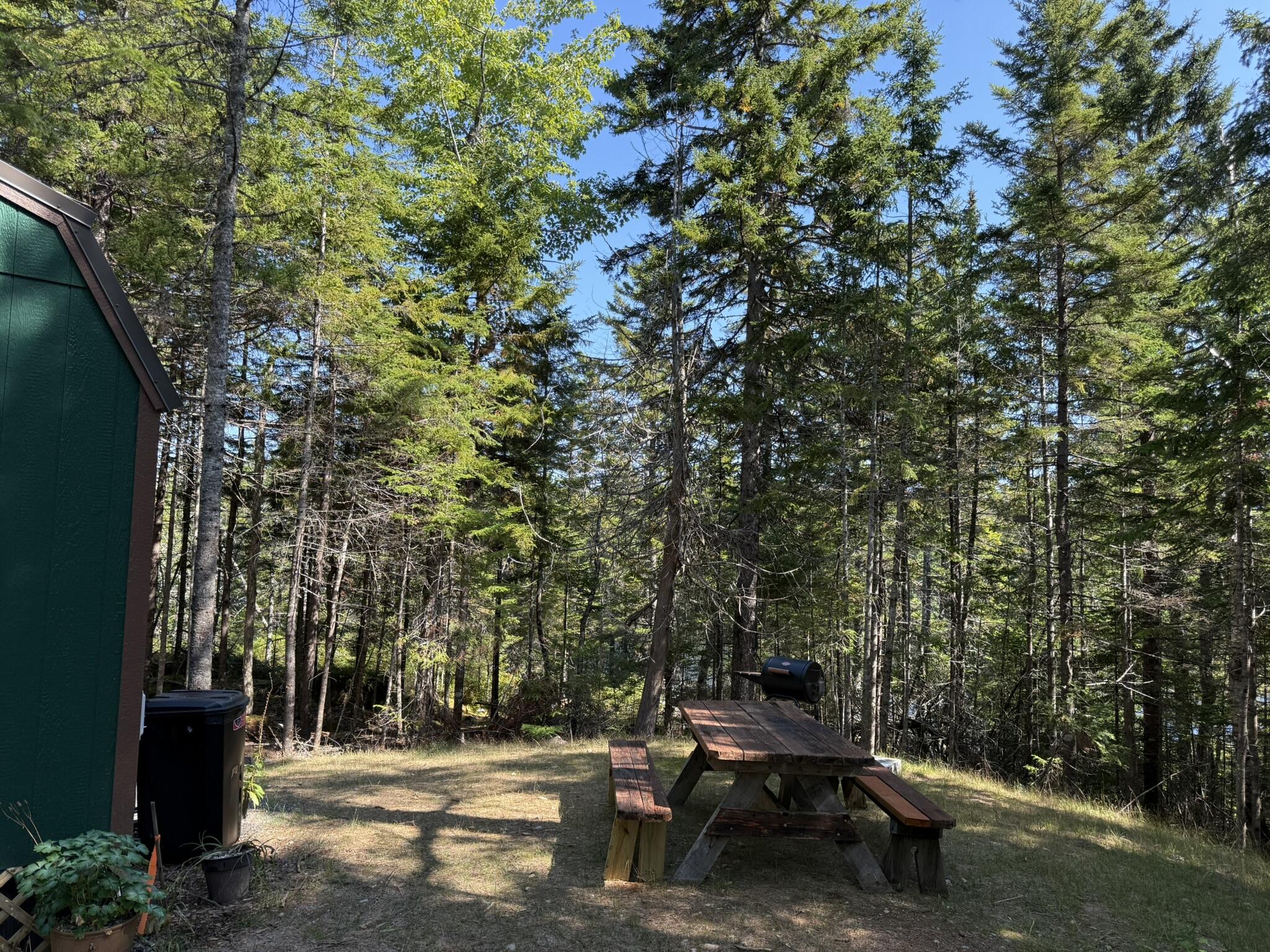 41 Sportsmen's Lodge Road Machias, ME 04654 - Photo 30 of 46 IMG_5589