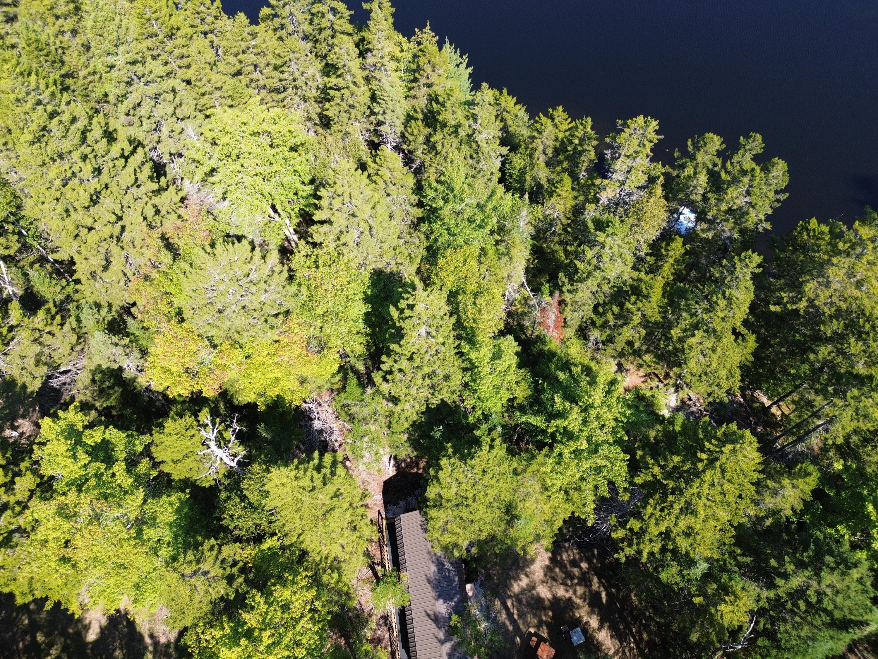 41 Sportsmen's Lodge Road Machias, ME 04654 - Photo 33 of 46 DJI_0405