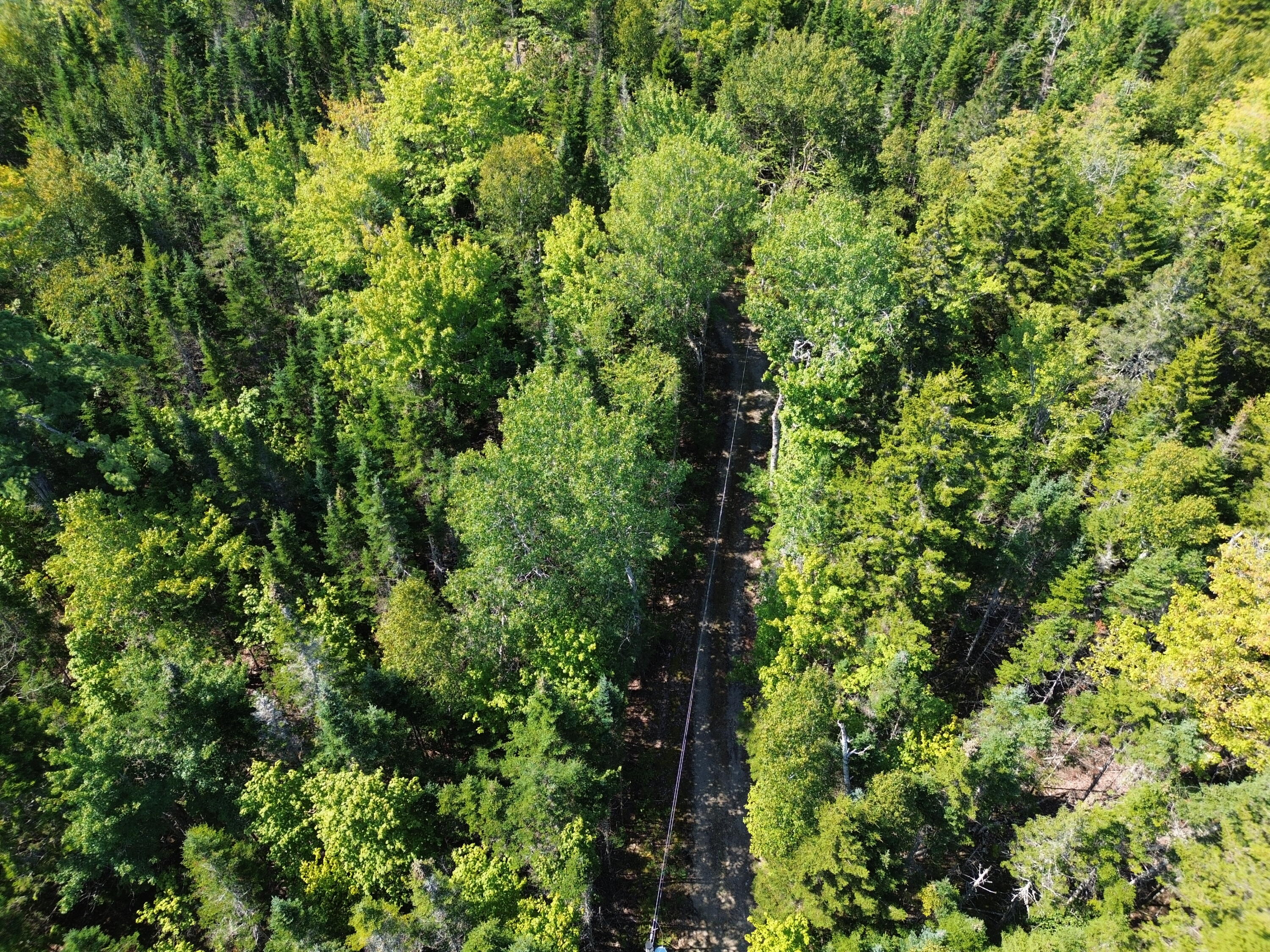 41 Sportsmen's Lodge Road Machias, ME 04654 - Photo 34 of 46 DJI_0406