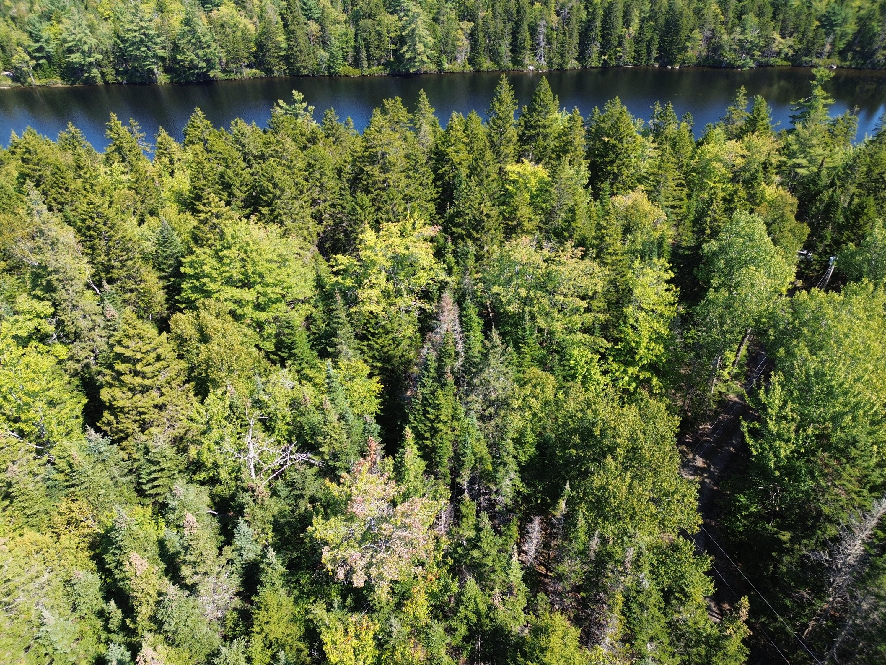 41 Sportsmen's Lodge Road Machias, ME 04654 - Photo 35 of 46 DJI_0408