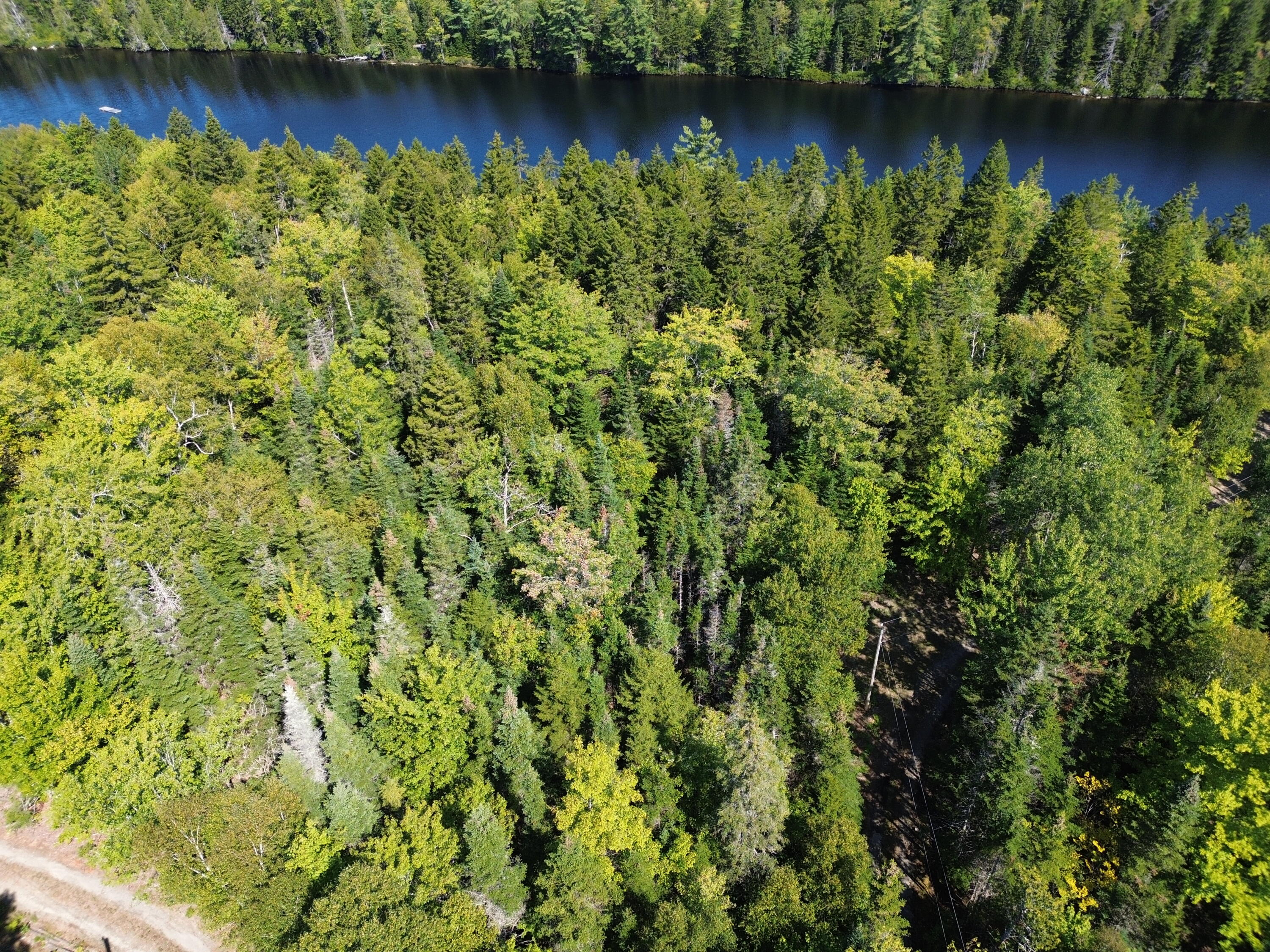 41 Sportsmen's Lodge Road Machias, ME 04654 - Photo 36 of 46 DJI_0409