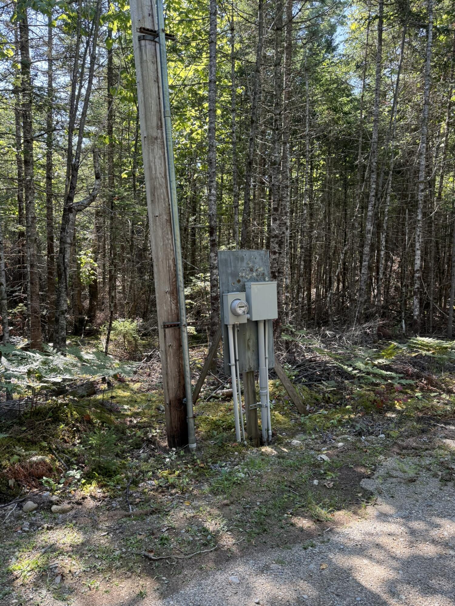 41 Sportsmen's Lodge Road Machias, ME 04654 - Photo 40 of 46 IMG_5592