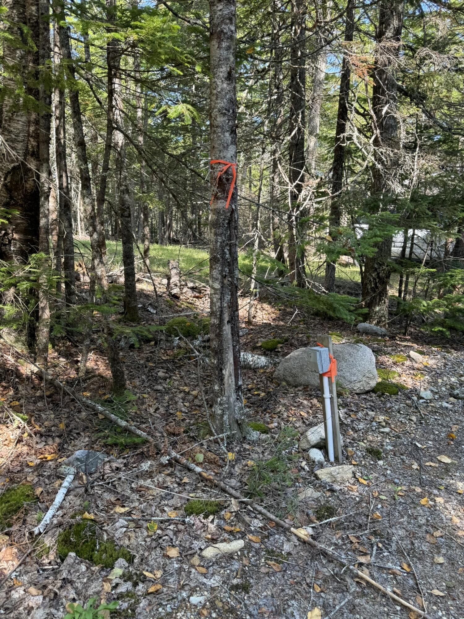 41 Sportsmen's Lodge Road Machias, ME 04654 - Photo 41 of 46 IMG_5594