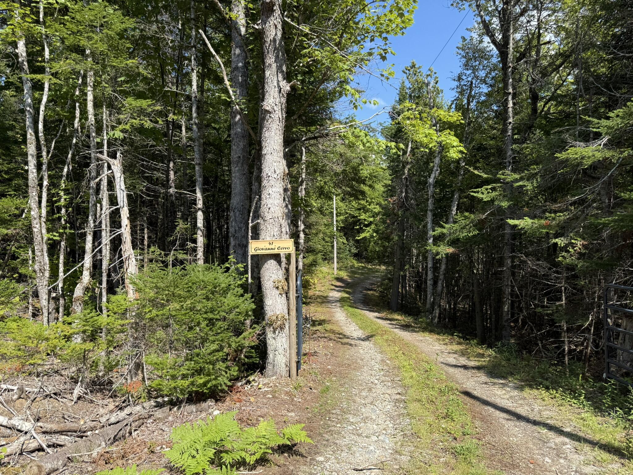 41 Sportsmen's Lodge Road Machias, ME 04654 - Photo 45 of 46 IMG_5605