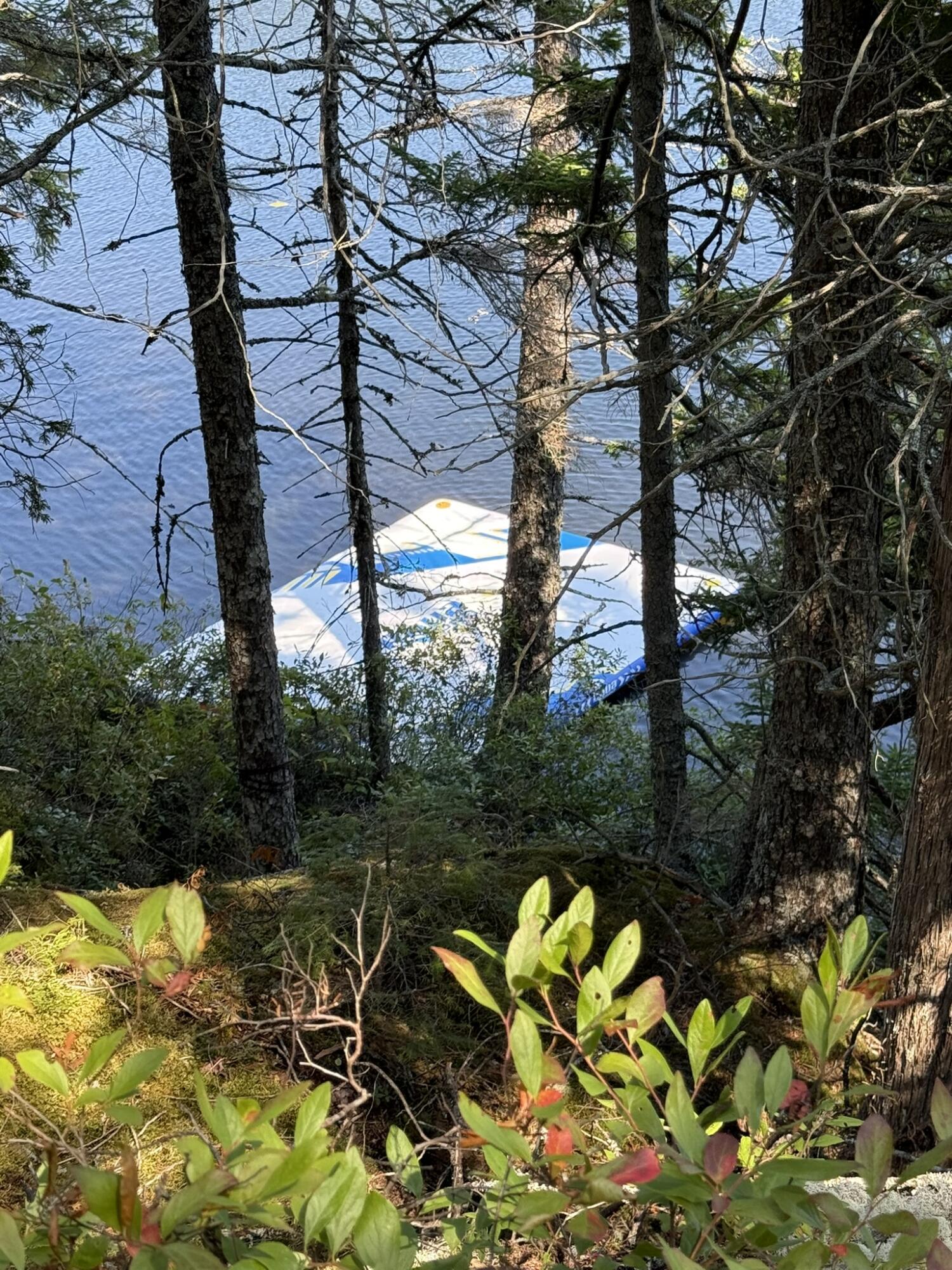 41 Sportsmen's Lodge Road Machias, ME 04654 - Photo 9 of 46 IMG_5598