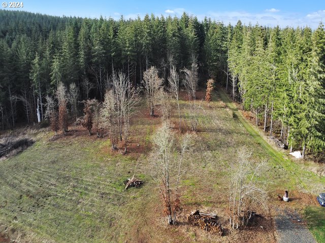 22575 Business 18 Willamina, OR 97396 - Photo 17 of 24 a view of a yard with a tree