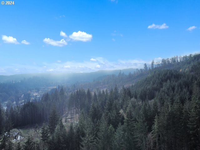 22575 Business 18 Willamina, OR 97396 - Photo 19 of 24 a view of a city