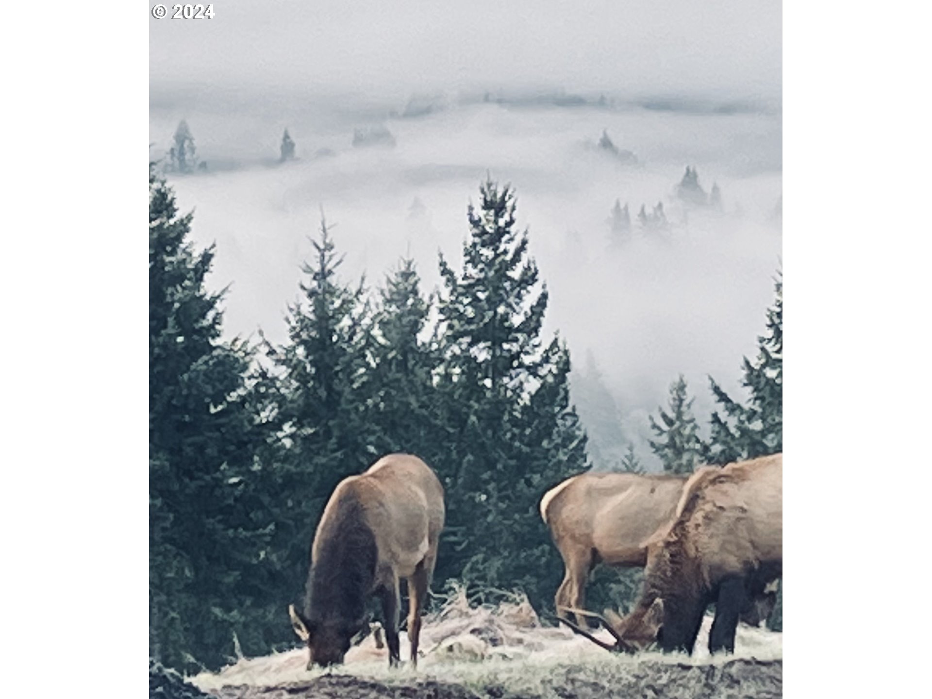 22575 Business 18 Willamina, OR 97396 - Photo 20 of 24 a view of roof with wooden floor