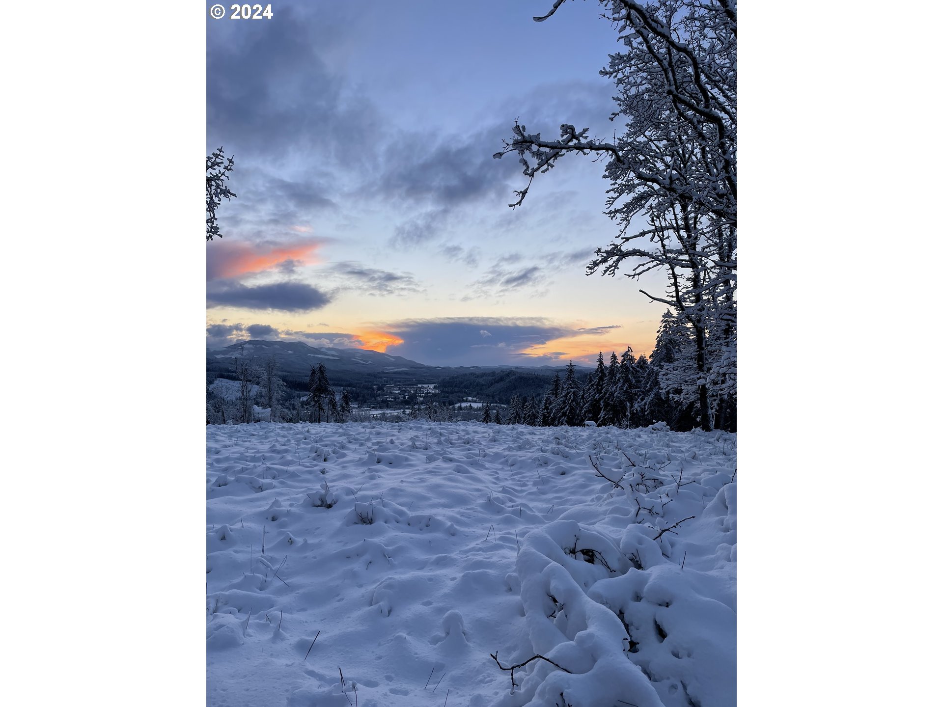 22575 Business 18 Willamina, OR 97396 - Photo 21 of 24 a view of entryway