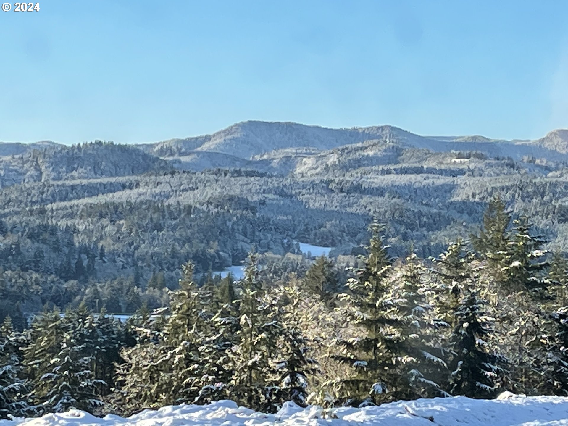 22575 Business 18 Willamina, OR 97396 - Photo 22 of 24 a view of a dry field