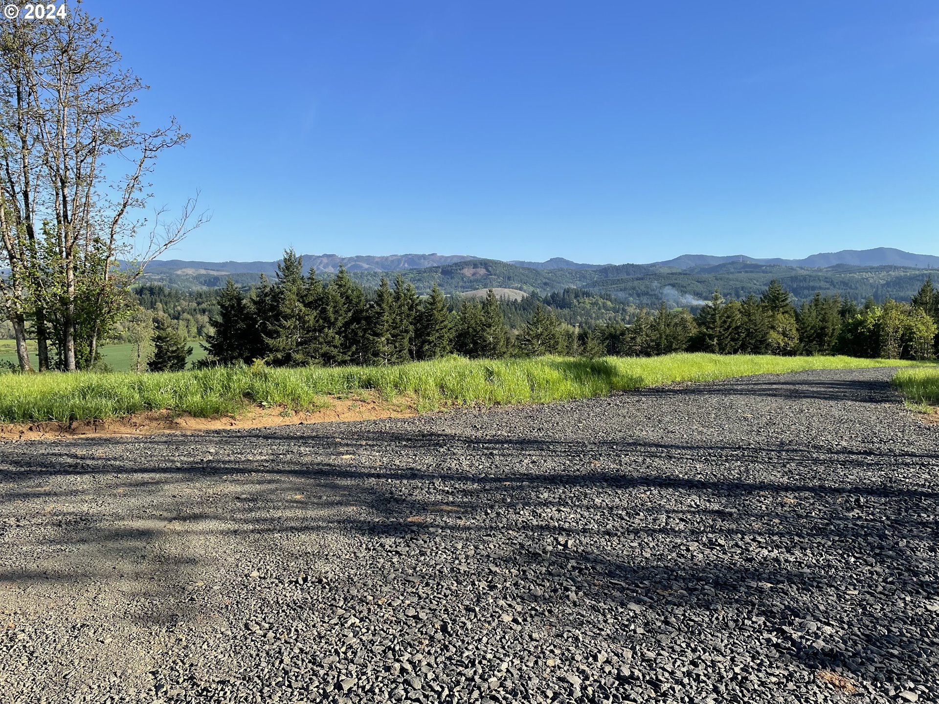 22575 Business 18 Willamina, OR 97396 - Photo 24 of 24 a view of a yard with a large tree