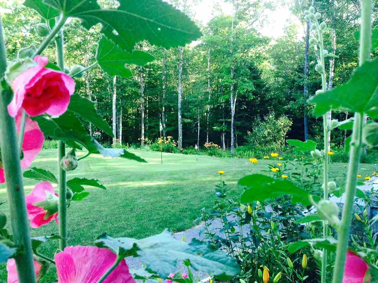 71 Tan Road Pittsfield, NH 03263 - Photo 2 of 25 Gallery Image 2