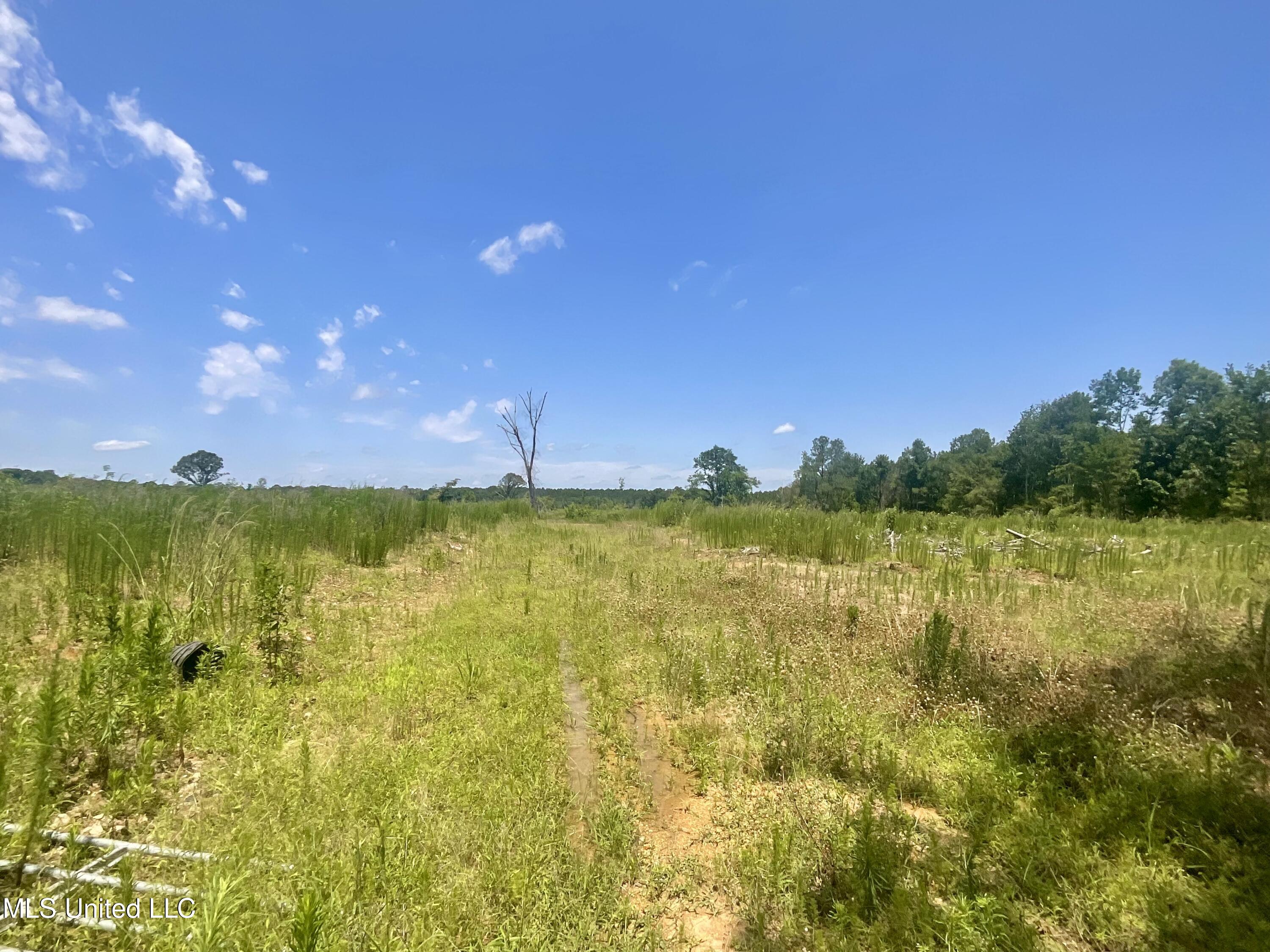 Sol Grubbs Rd Road Pinola, MS 39149 - Photo 1 of 4 Front