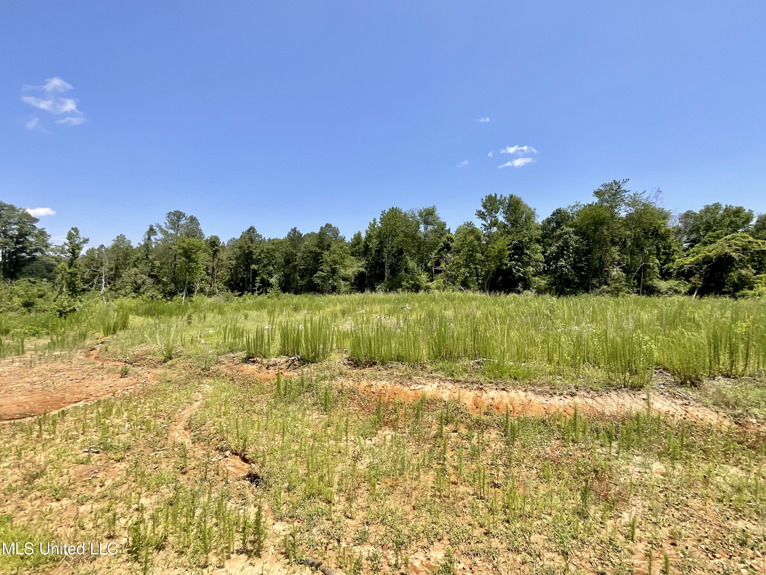 Sol Grubbs Rd Road Pinola, MS 39149 - Photo 3 of 4 IMG_2568