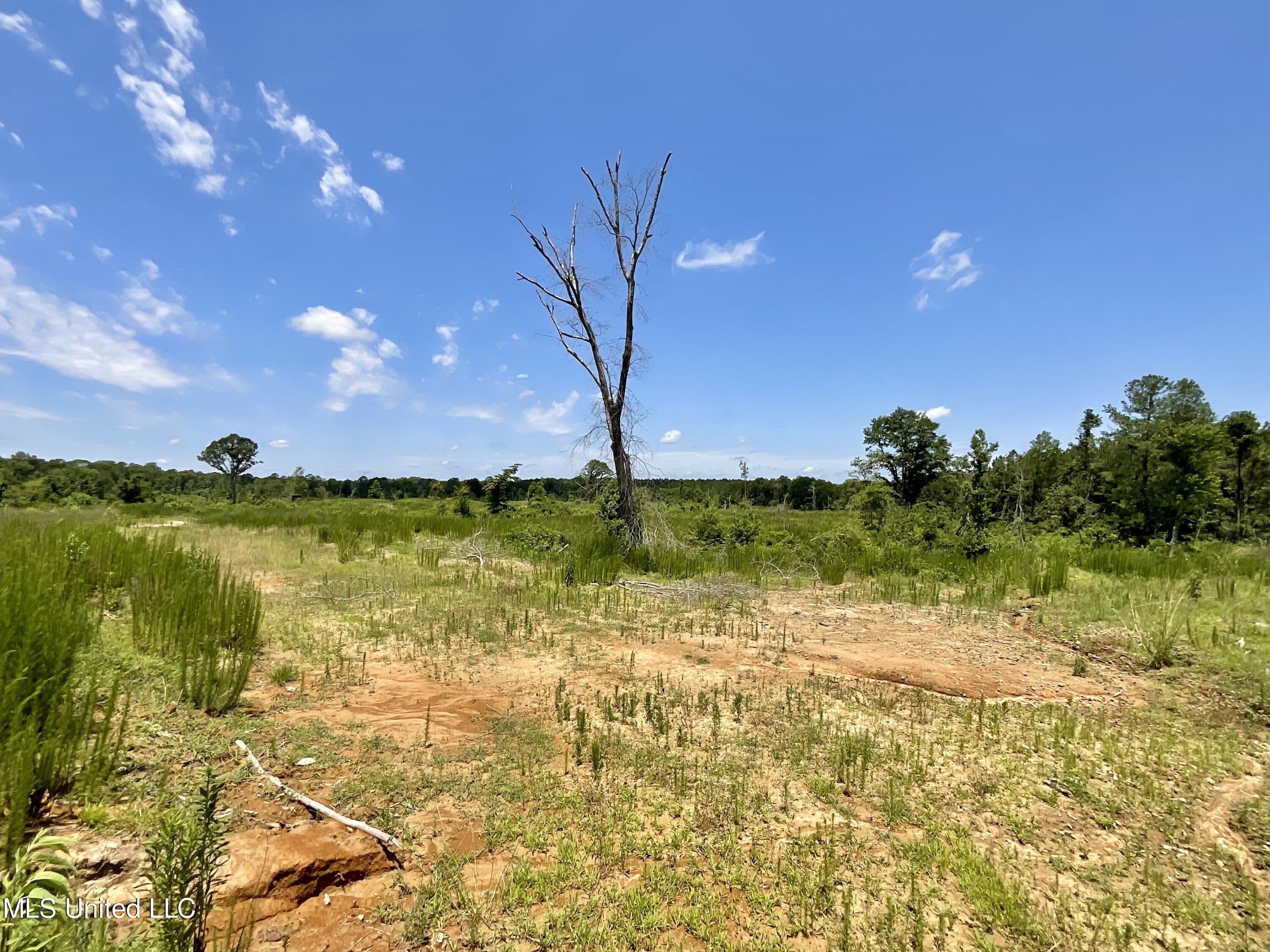 Sol Grubbs Rd Road Pinola, MS 39149 - Photo 4 of 4 IMG_2567