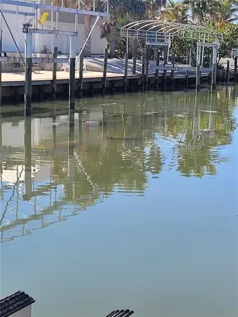 a front view of a house with a yard and potted plants