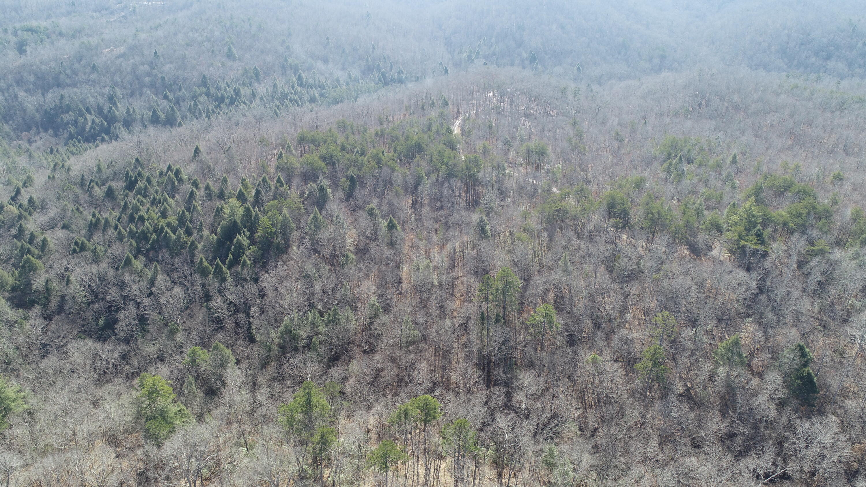 777 Rocky Point School Road Williamsburg, KY 40769 - Photo 25 of 31 DJI_0256