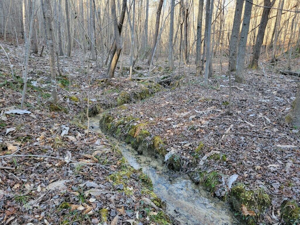 0 Us-278 Addison, AL 35540 - Photo 5 of 23 Gallery Image 5