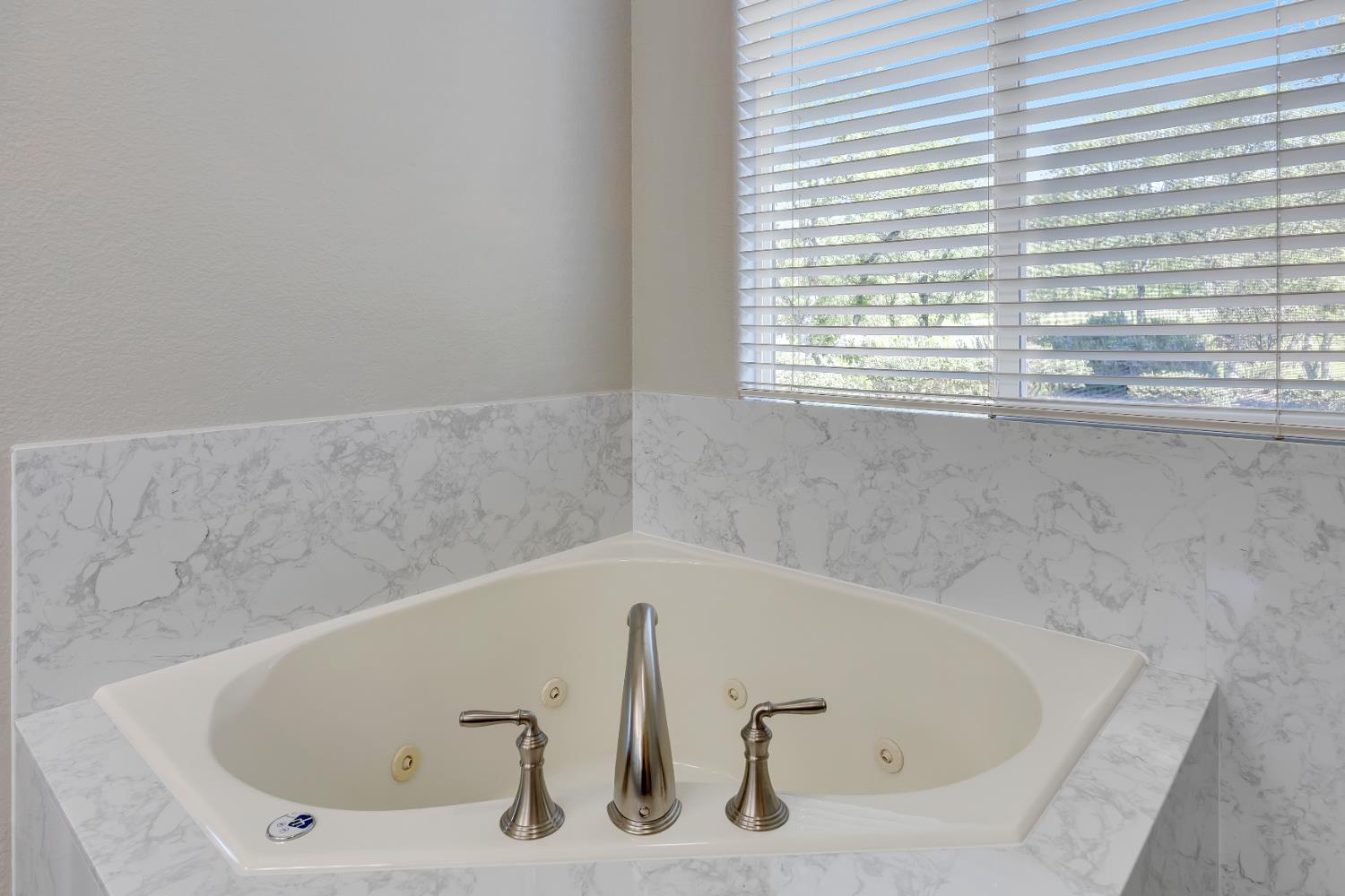 16 Rock Ridge Court, Unit 289 Copperopolis, CA 95228 - Photo 47 of 80 Separate Tub with upgraded finishes.