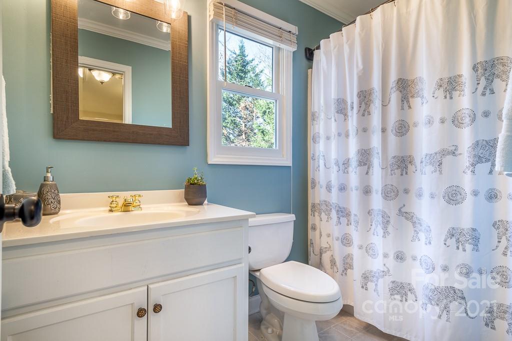 3561 Lake Shore Road South Denver, NC 28037 - Photo 17 of 29 a bathroom with a sink a toilet and a mirror