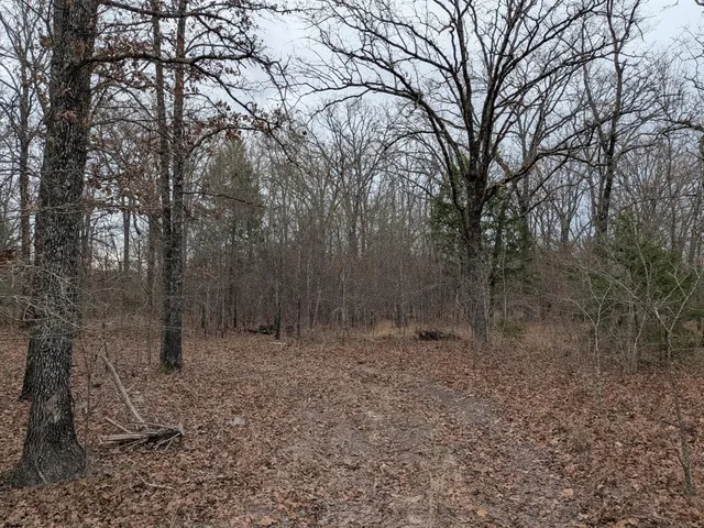 $65,000 | 179 Rs County Road 2572, Alba, TX 75410