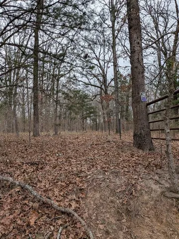 $65,000 | 179 Rs County Road 2572, Alba, TX 75410