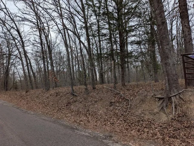 $65,000 | 179 Rs County Road 2572, Alba, TX 75410