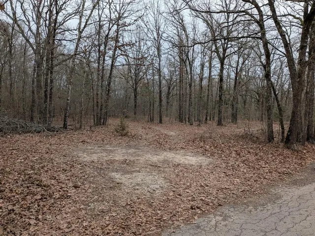 $65,000 | 179 Rs County Road 2572, Alba, TX 75410