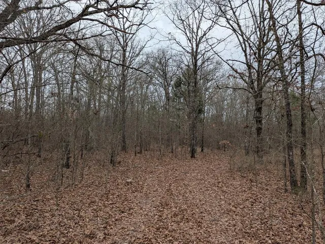 $65,000 | 179 Rs County Road 2572, Alba, TX 75410