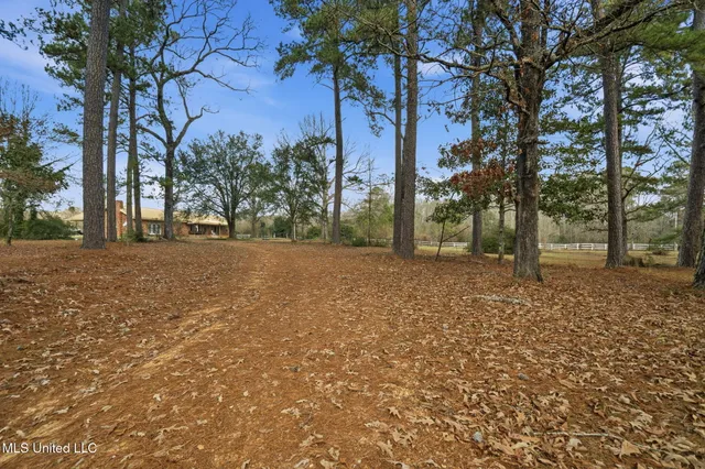 $229,500 | 3554 Primitive Drive Southeast, Ruth, MS 39662